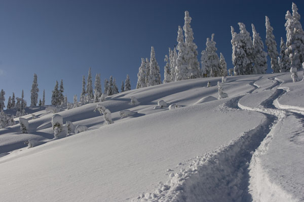 Photography by Gaetan Priour