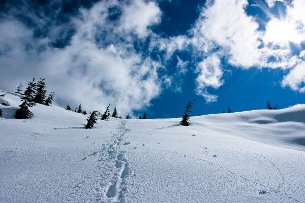 Photography by Gaetan Priour