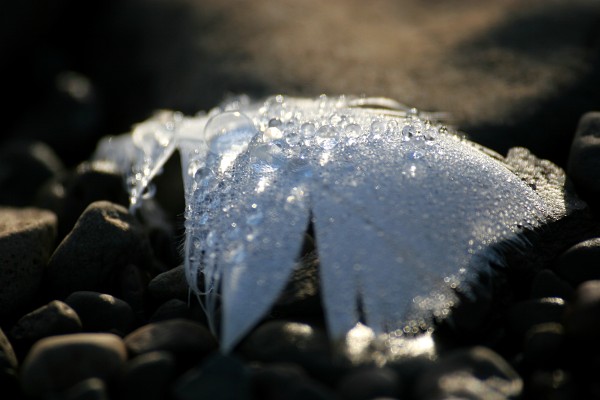 Photography by Gaetan Priour