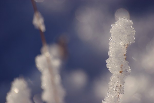 Photography by Gaetan Priour