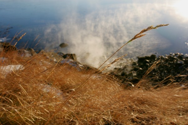 Photography by Gaetan Priour