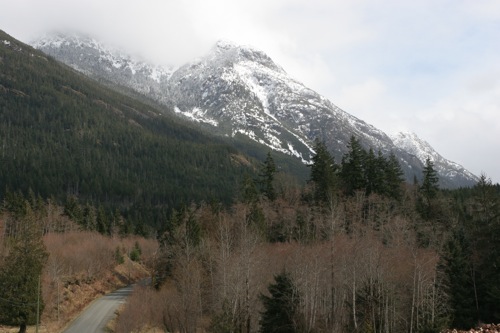 Sayward