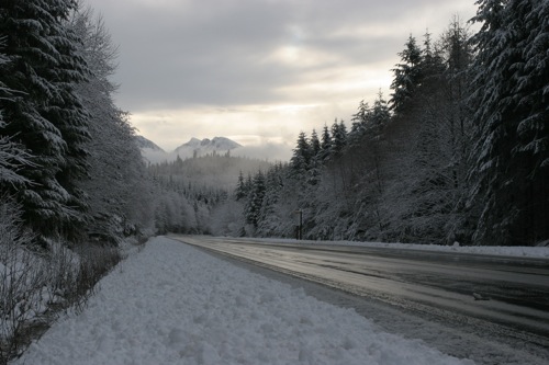 Road to Gold River