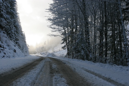 Road to Mount Arrowsmith