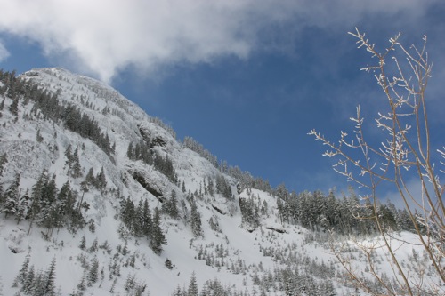 Mount Arrowsmith