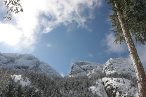 View of Mount Arrowsmith