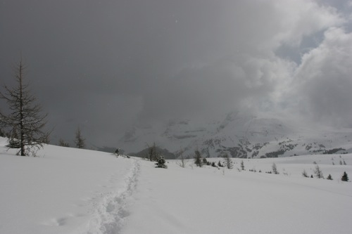 Hiking to the top, Sunshine, Banff