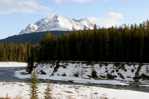 Road to Jasper