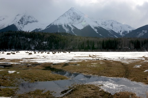 On the way to Prince George