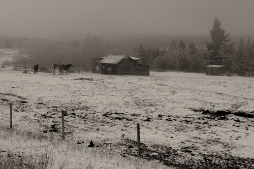 On the road, from Prince George to 100 Mile House