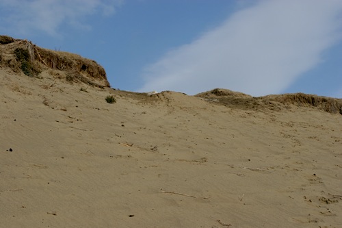 Sand dunes in Whitehorse