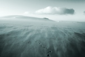 IMG_4276_900