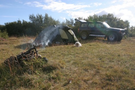 IMG_2006_900 IMG_2006_900