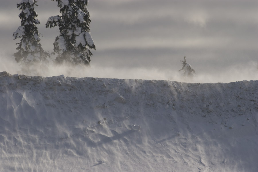 Mount Washington, BC, Canada