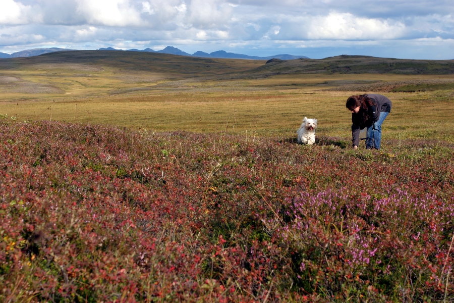 Day out around Esja, Iceland, August 2011