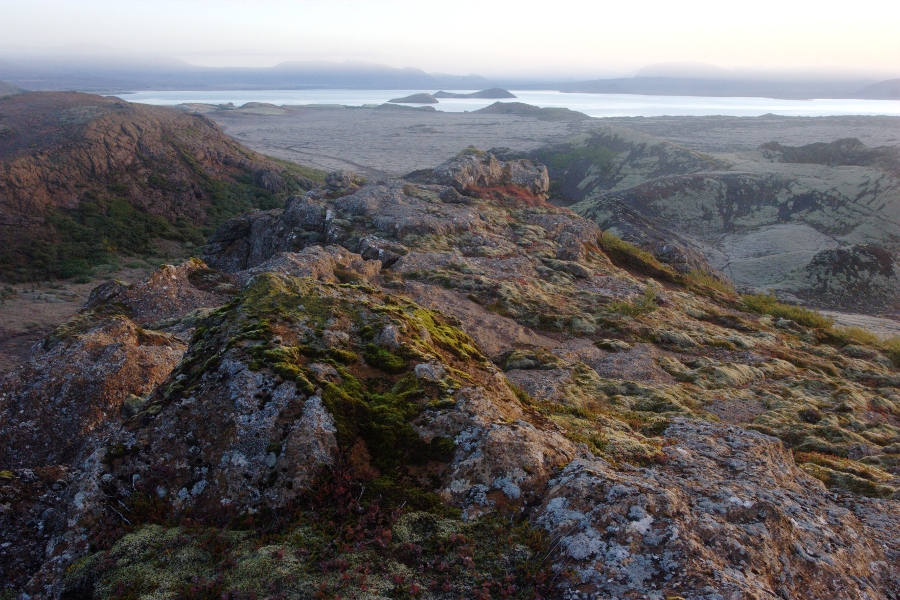 Nesjar, Iceland, August 2011