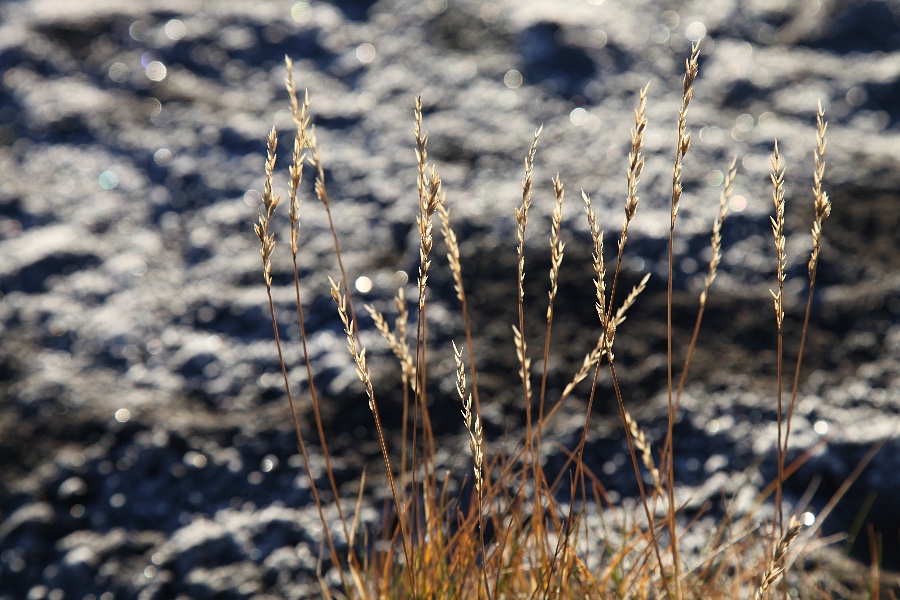 Hadegisfell, Iceland, September 2012