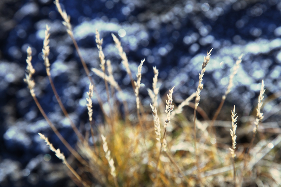 Hadegisfell, Iceland, September 2012