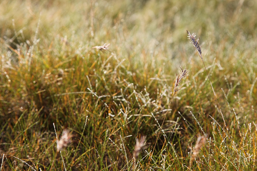 Hadegisfell, Iceland, September 2012