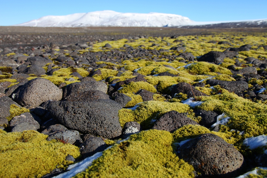 Hadegisfell, Iceland, September 2012