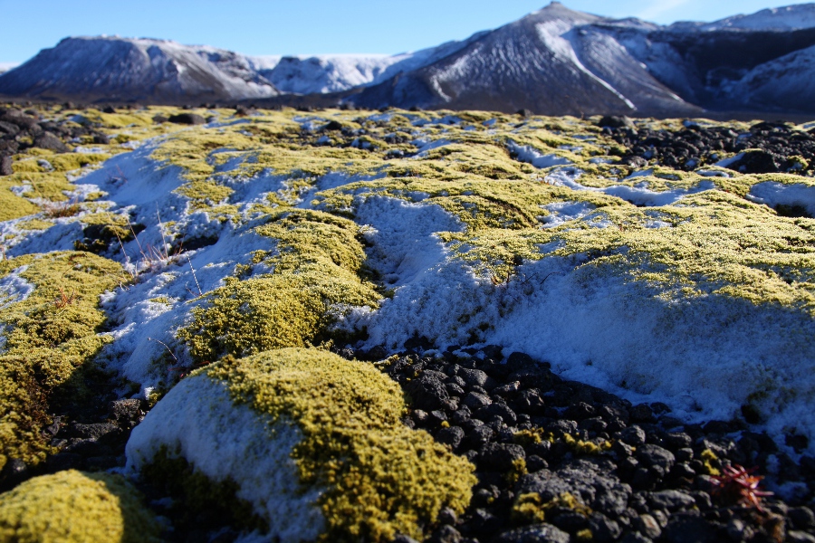 Hadegisfell, Iceland, September 2012