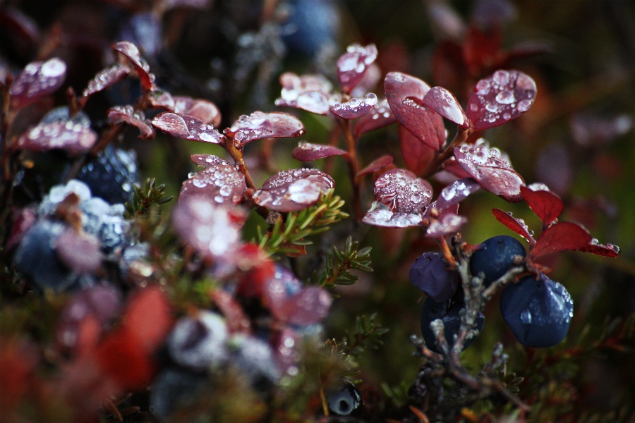 Hvalvatn, Iceland, September 2012