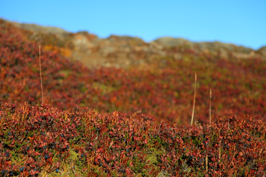 Hvalvatn, Iceland, September 2012