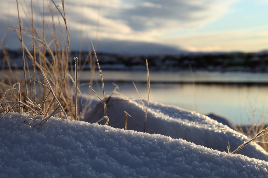 Iced Sea, Iceland, January 2012