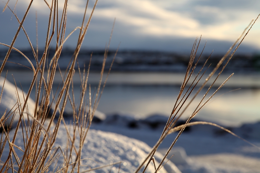 Iced Sea, Iceland, January 2012