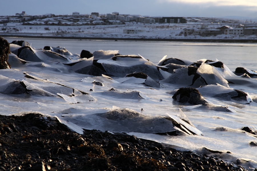 Iced Sea, Iceland, January 2012