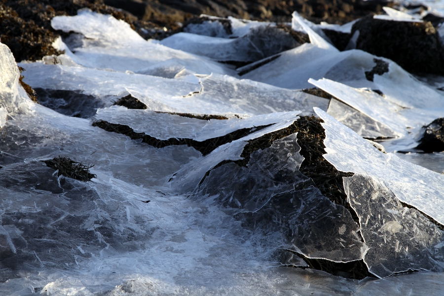 Iced Sea, Iceland, January 2012