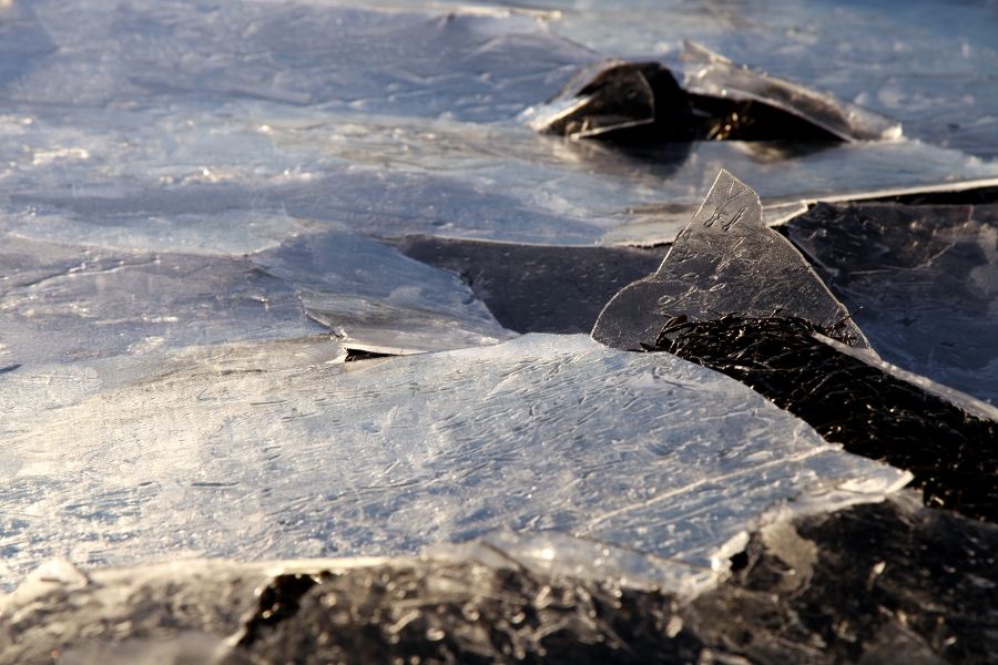 Iced Sea, Iceland, January 2012