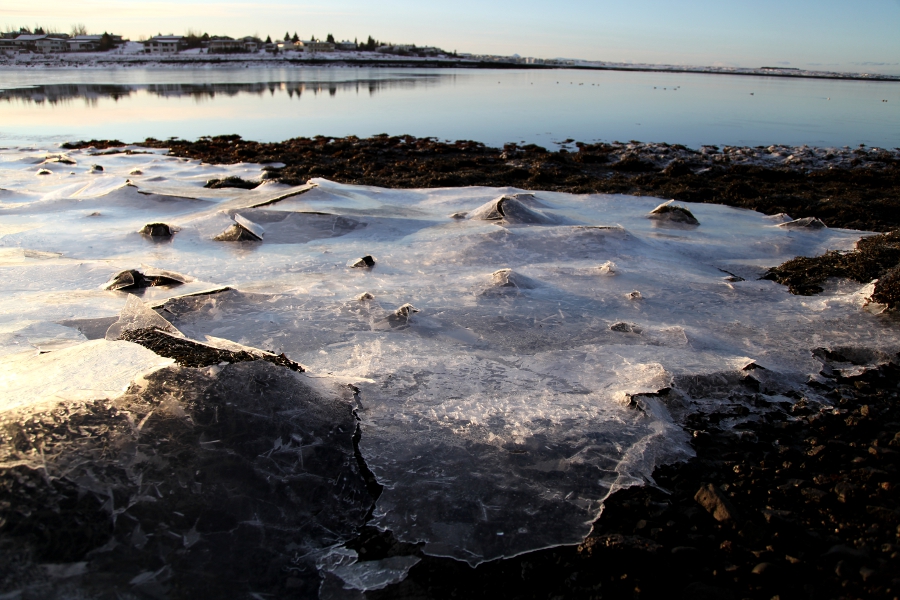 Iced Sea, Iceland, January 2012