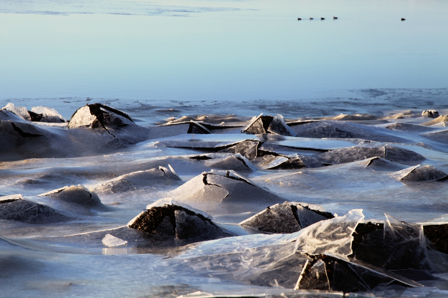 Iced Sea, Iceland, January 2012