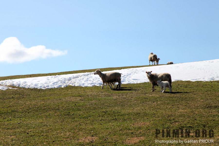 Week End in the North of Iceland, 2012