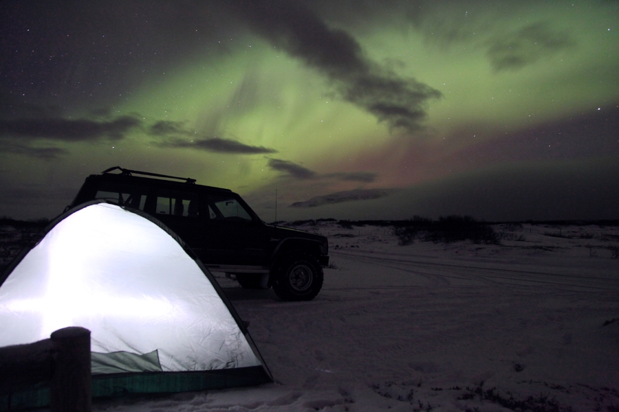 Northern Lights, Þingvellir, Iceland, March 2012