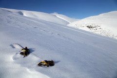 Hiking up a mountain and riding it down, Iceland, March 2012