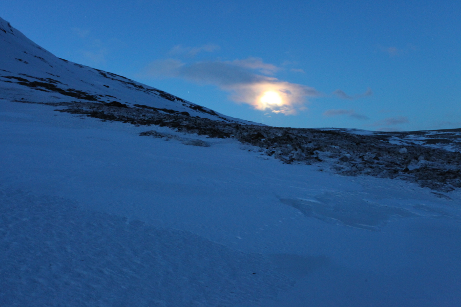 Hallbjarnarvodur, Iceland 2013