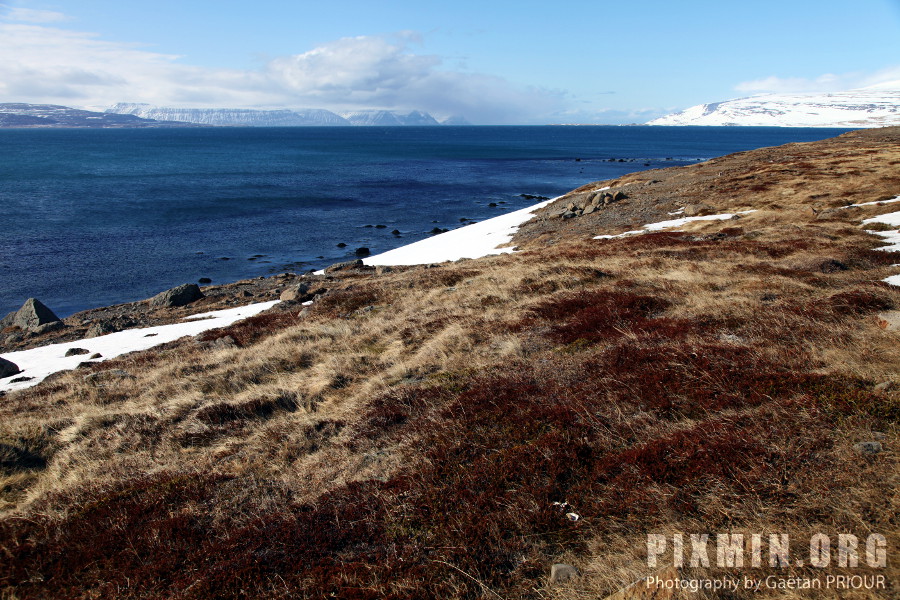 West Fjords, Iceland 2013