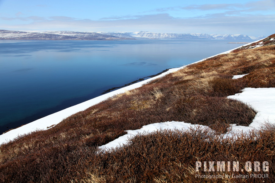 Hiking the West Fjords, Iceland