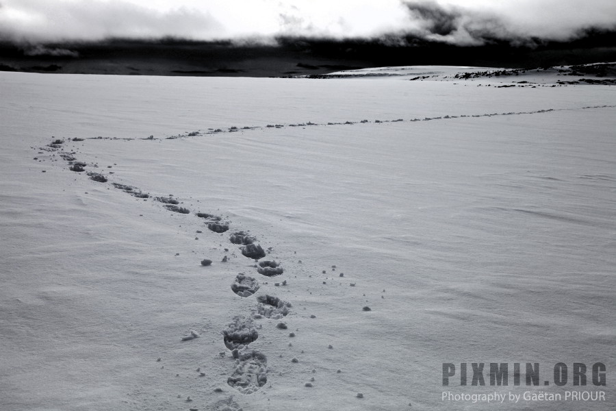 Trekking in the West Fjords, Iceland, April 2013