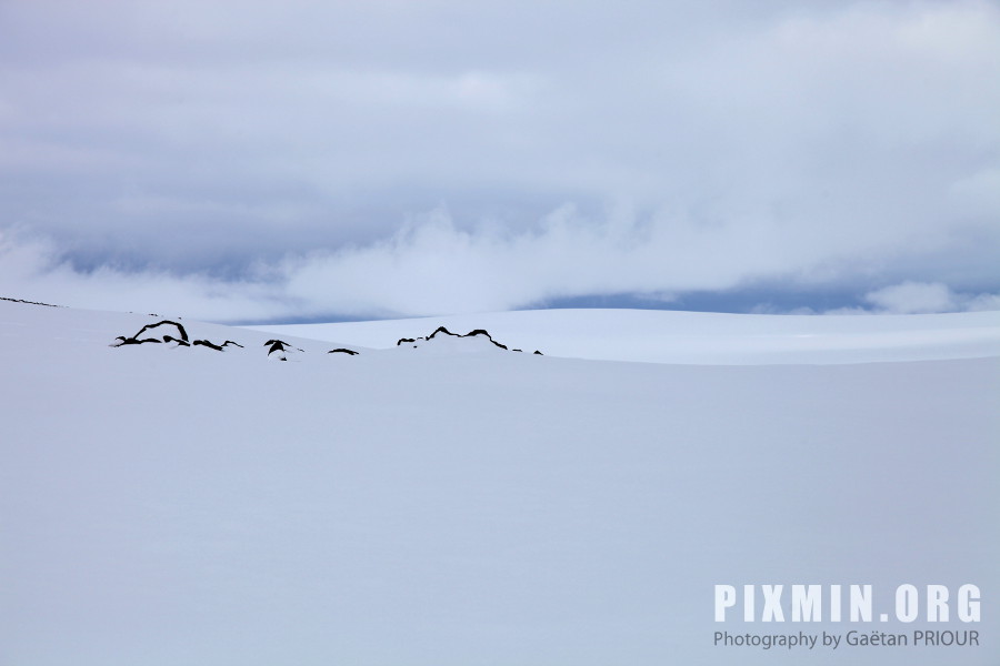 Trekking in the West Fjords, Iceland, April 2013