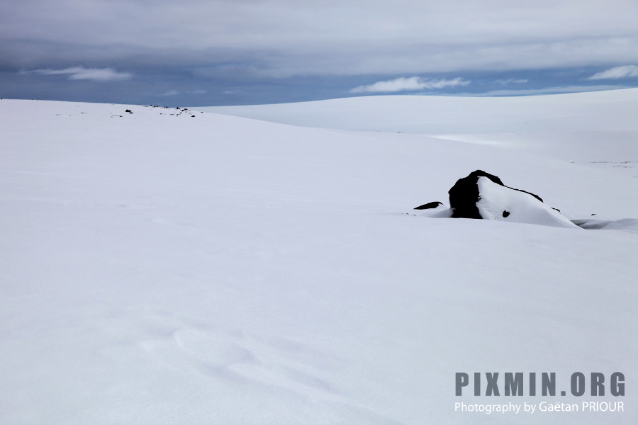 Trekking in the West Fjords, Iceland, April 2013