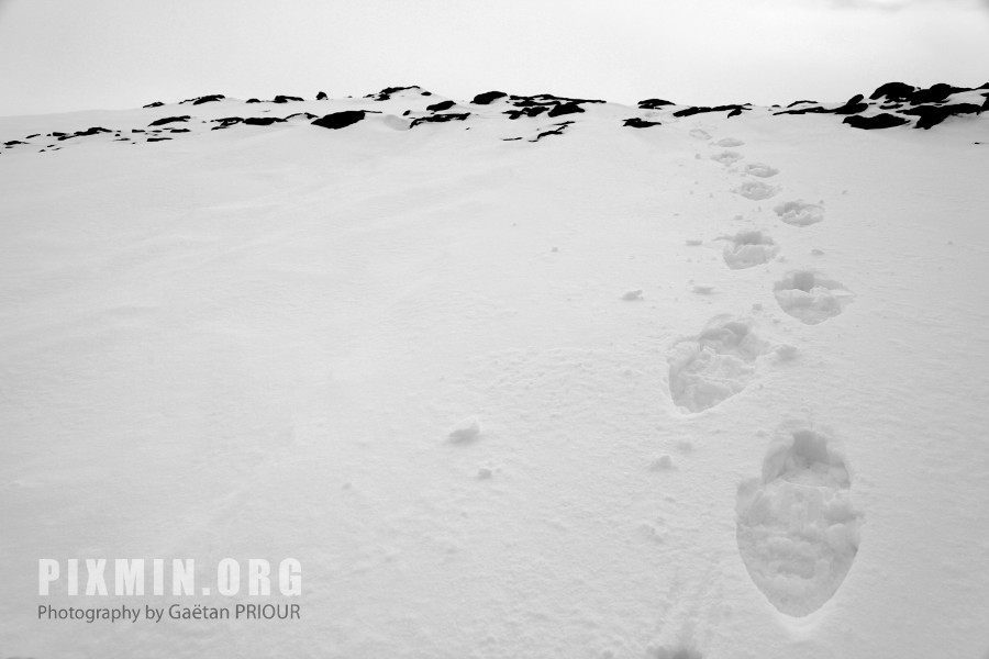 Trekking in the West Fjords, Iceland, April 2013