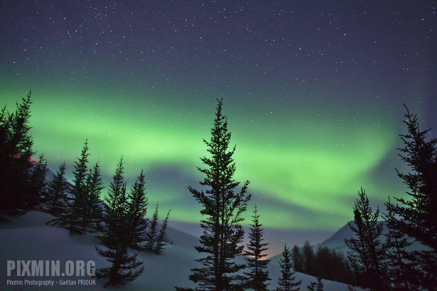 Northern Lights, Iceland