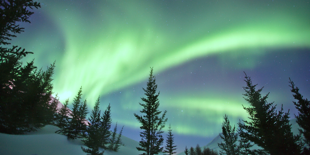 Northern Lights in Dalvik