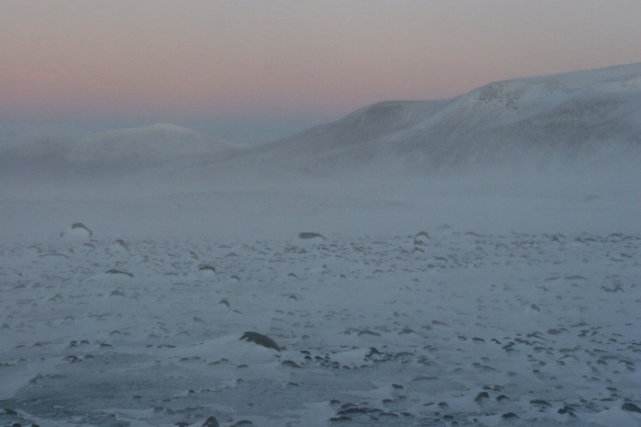 Langjökull, Iceland 2009