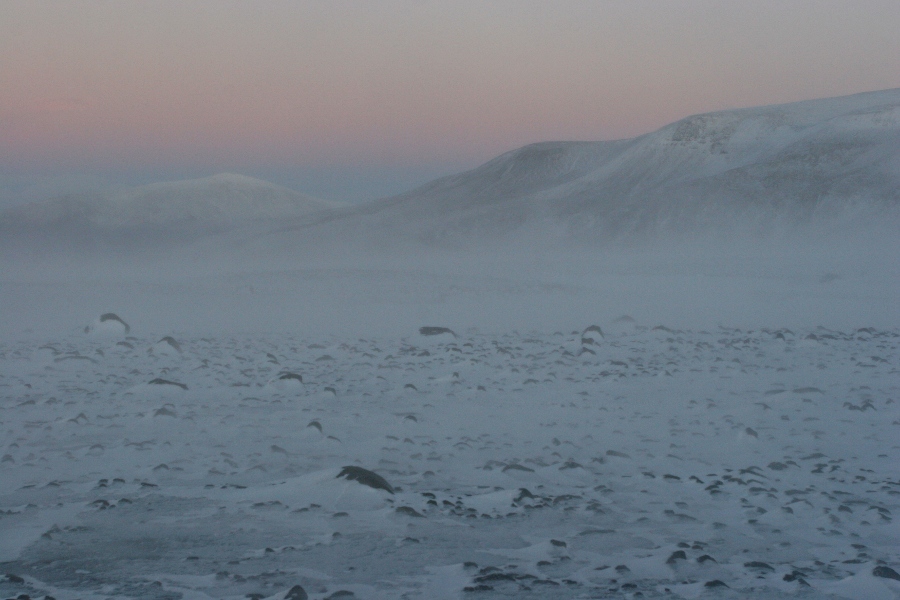 Langjökull, Iceland 2009