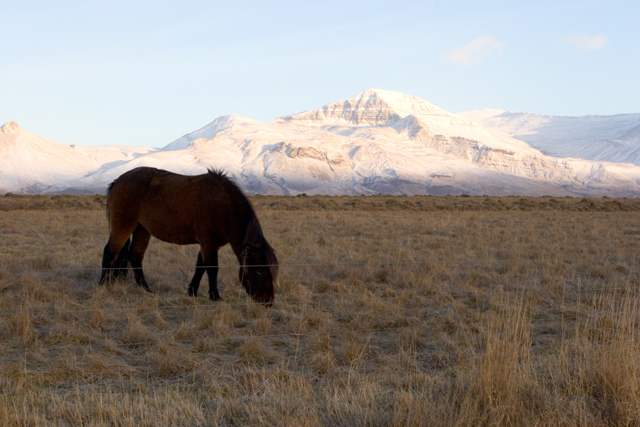 Iceland 2007